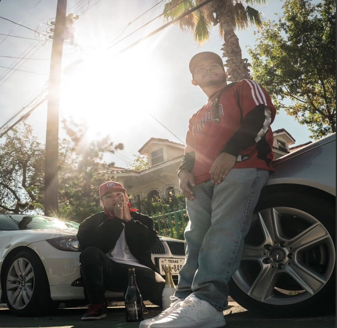 Roland Ryan feat Banco Ray - Palm Trees (Single)