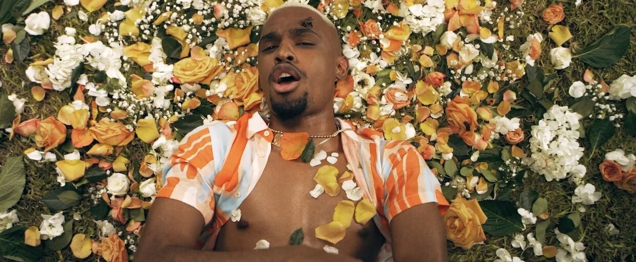 JonoJono - Little Bees (Video)