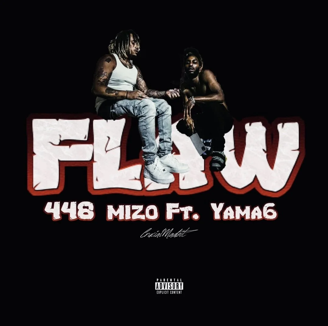 448 Mizo feat The Yamasexuals - Flaw (Single)