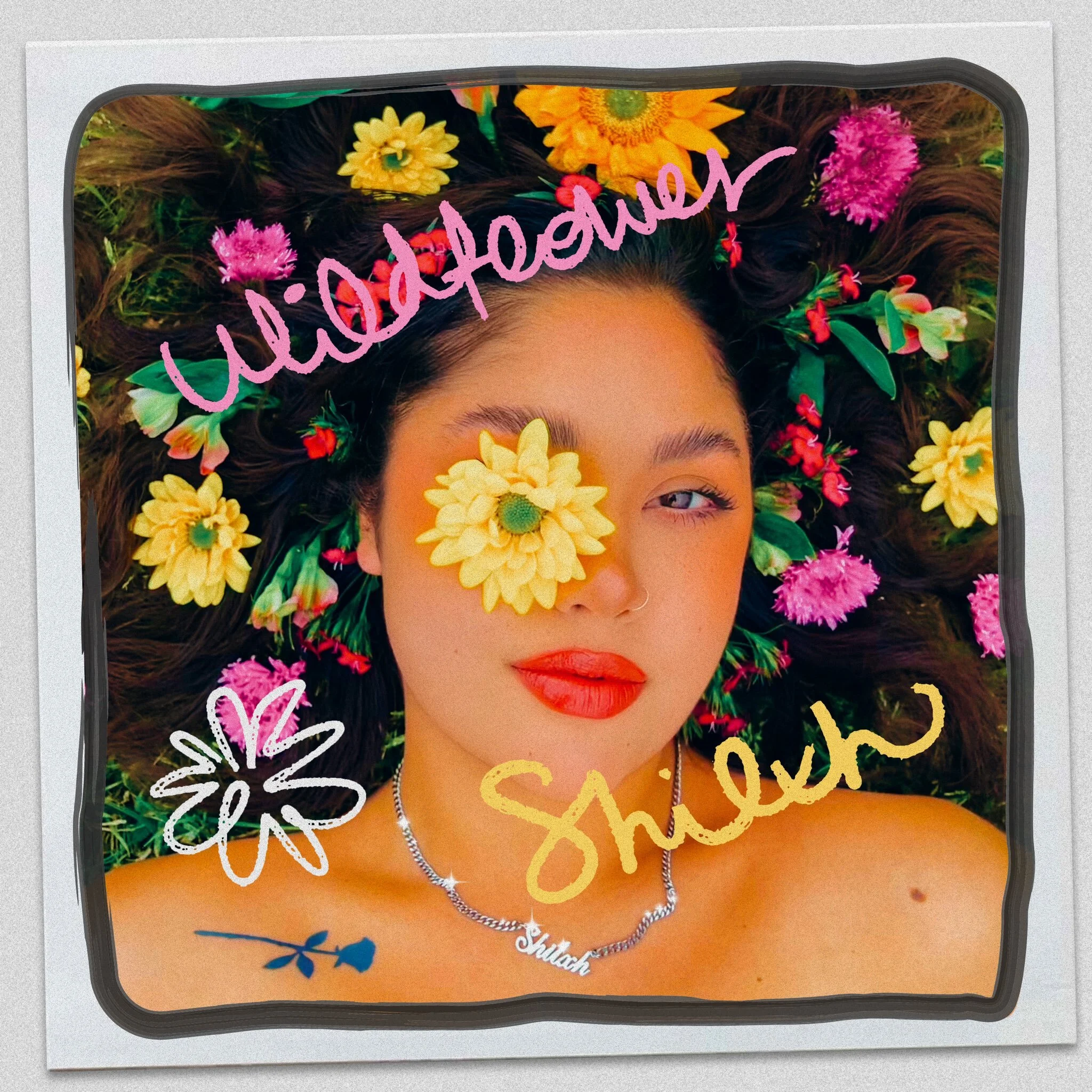 Shilxh - Wildflower (Single)