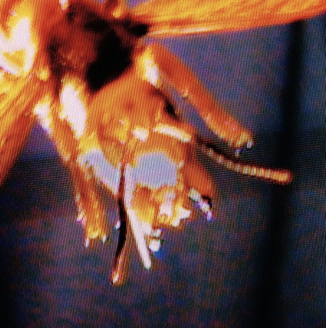 Father Wasp feat Vermin The Villain - Omens (Single)