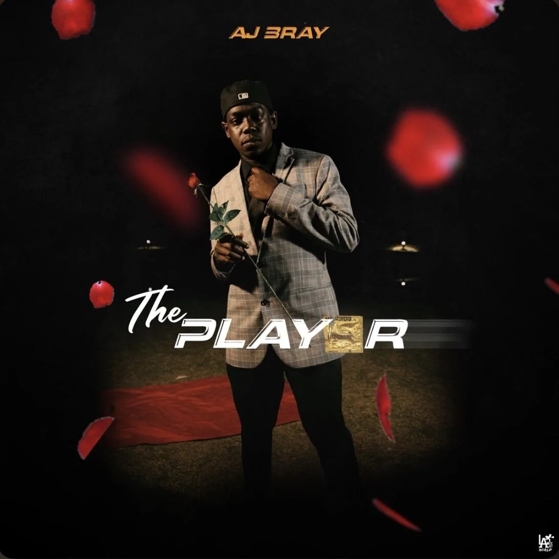 Aj Bray - Player (Single)
