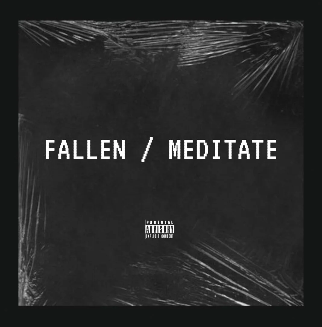 Nique Robinson - Fallen/Mediate (EP)
