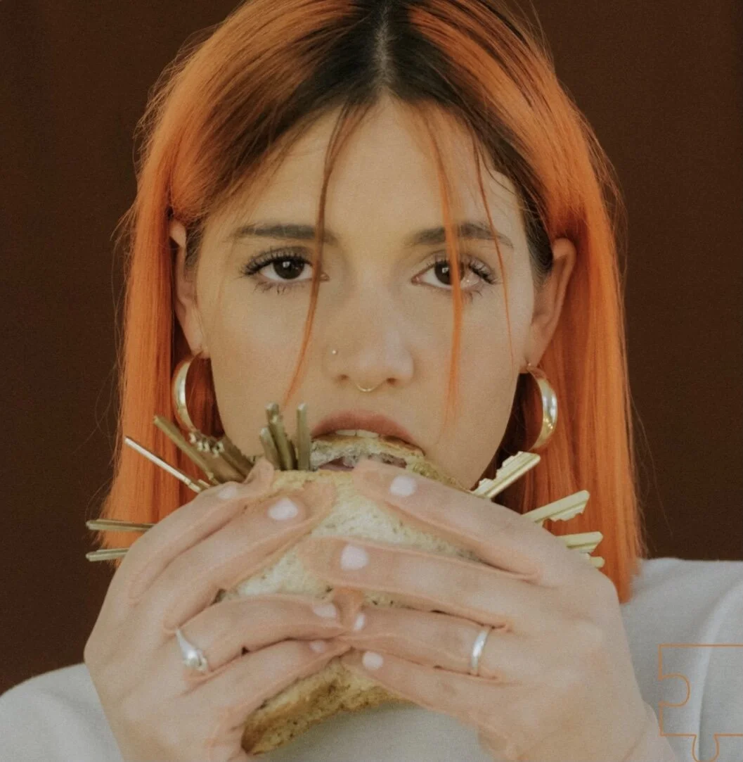 Reagan Capaci - Don't Recommend (Single)