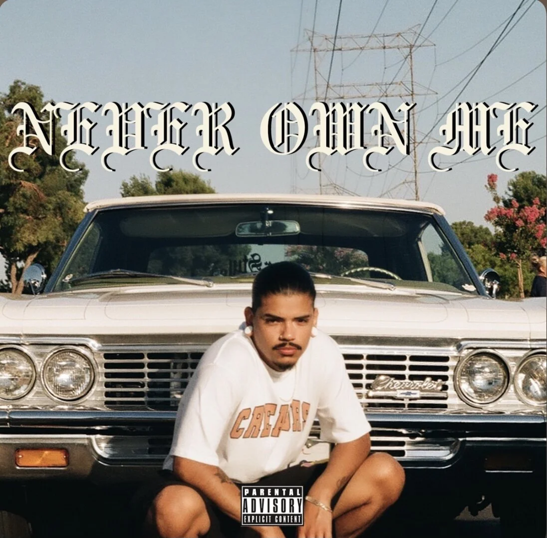 Joose feat Andre Troutman - Never Own Me (Single)