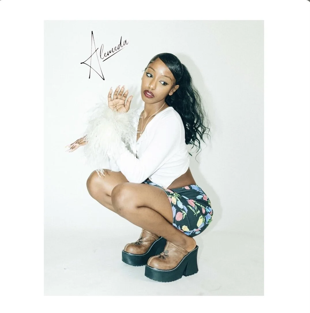 Alemeda - Gonna Bleach My Eyebrows (Single)