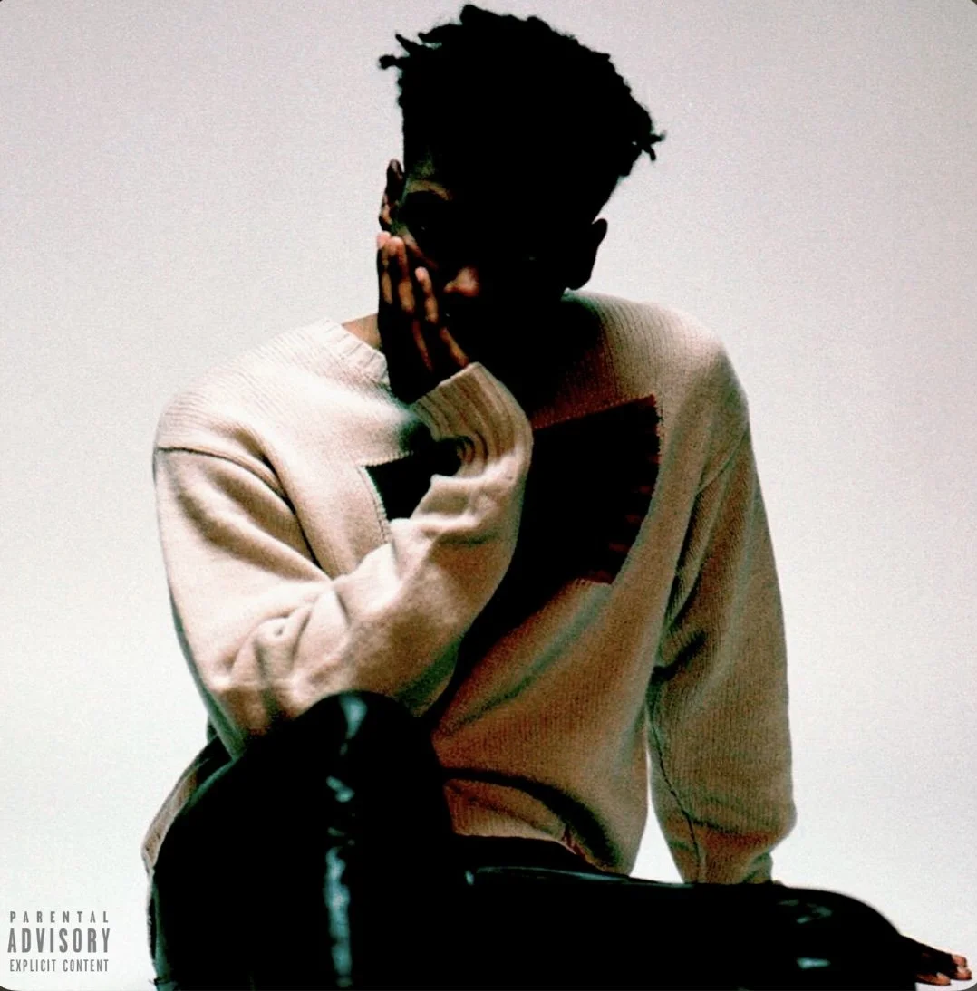 Wes Denzel - I Only Get Wild with You (Album)