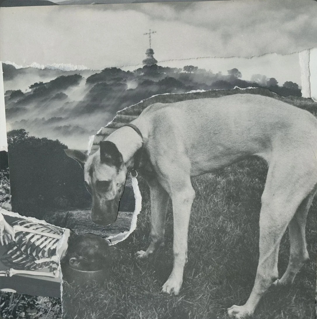 Quico - Baaaad2thebone (Single)