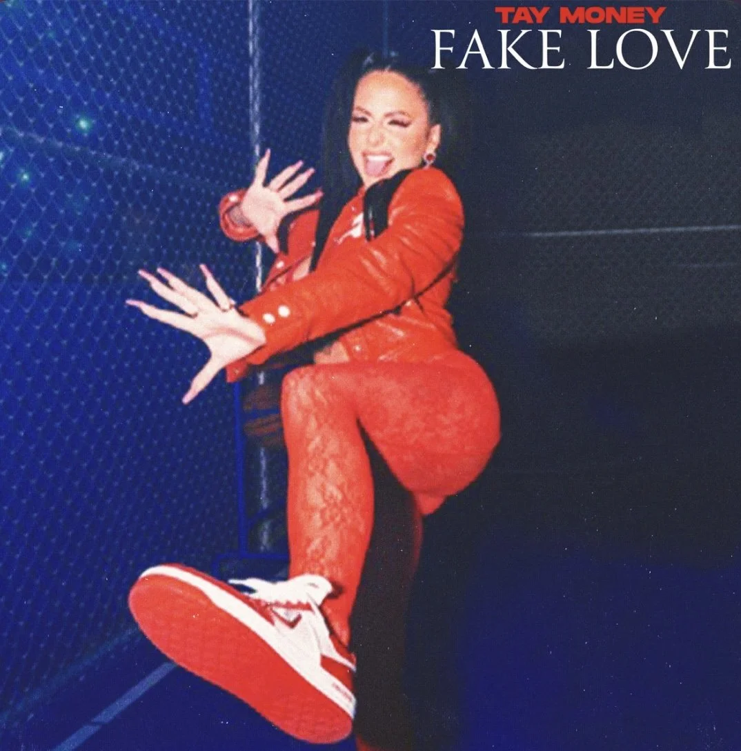 Tay Money - Fake Love (Single)