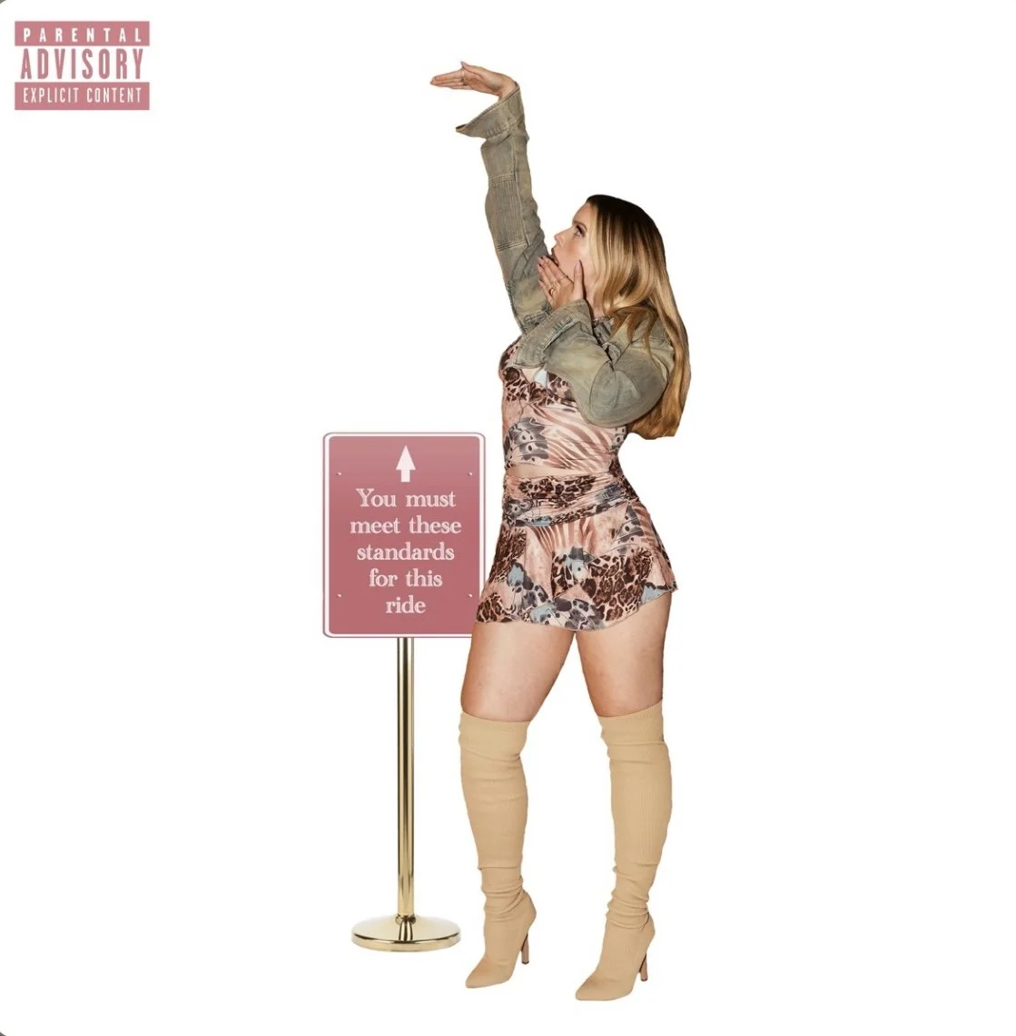 Wynne - High Standards (Single)