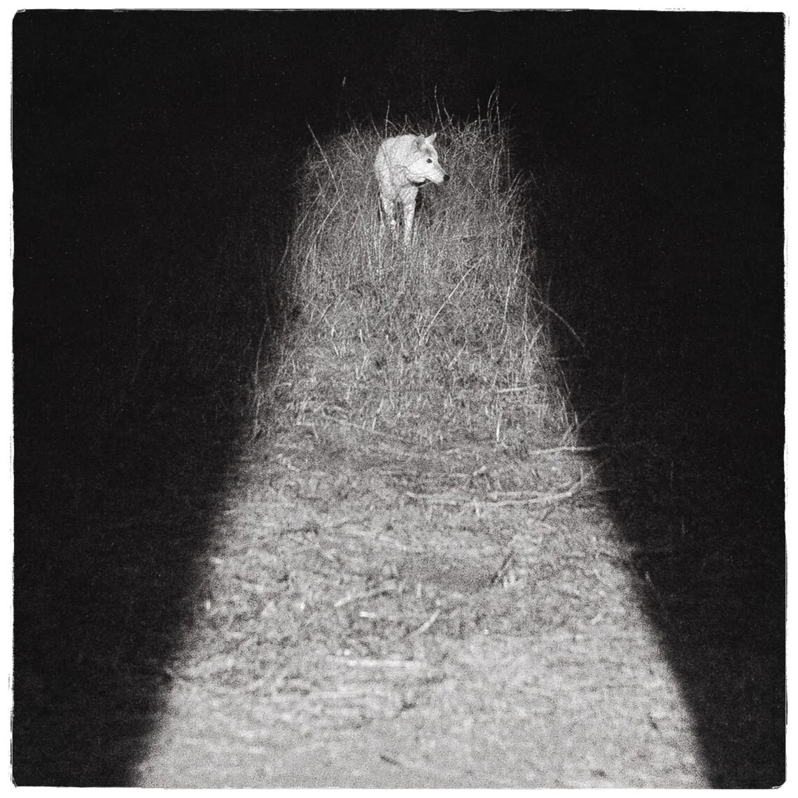 Zacari - Bliss (Album)