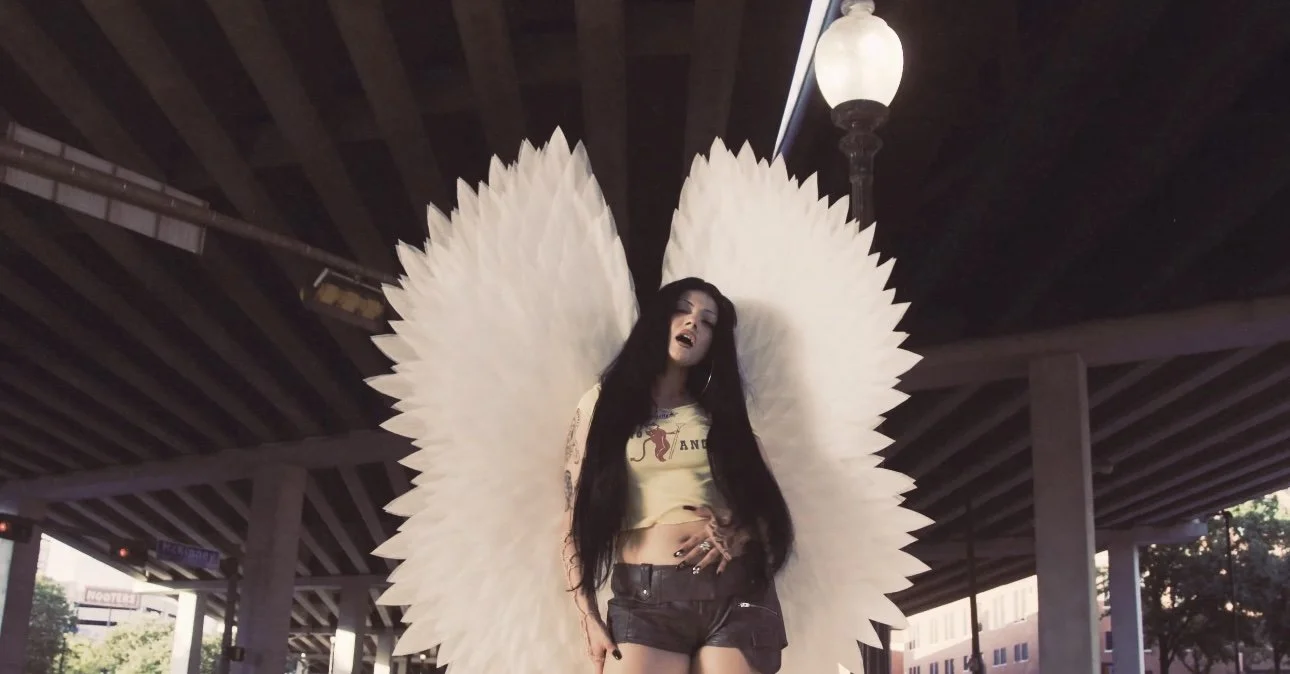 Jacks Haupt - The Flower That Never Got Sent (Video)