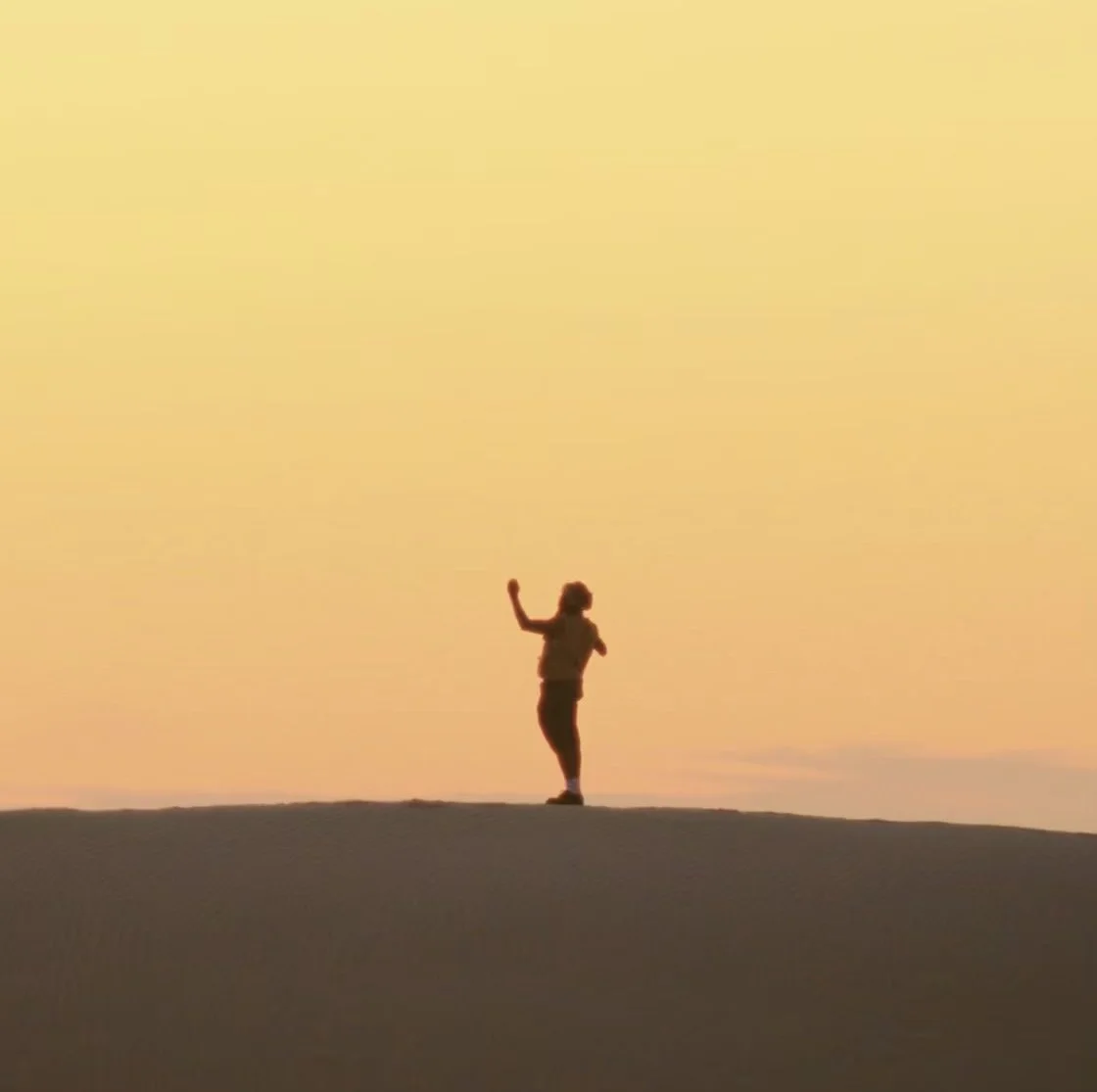 Arizé - Roaches (Single)