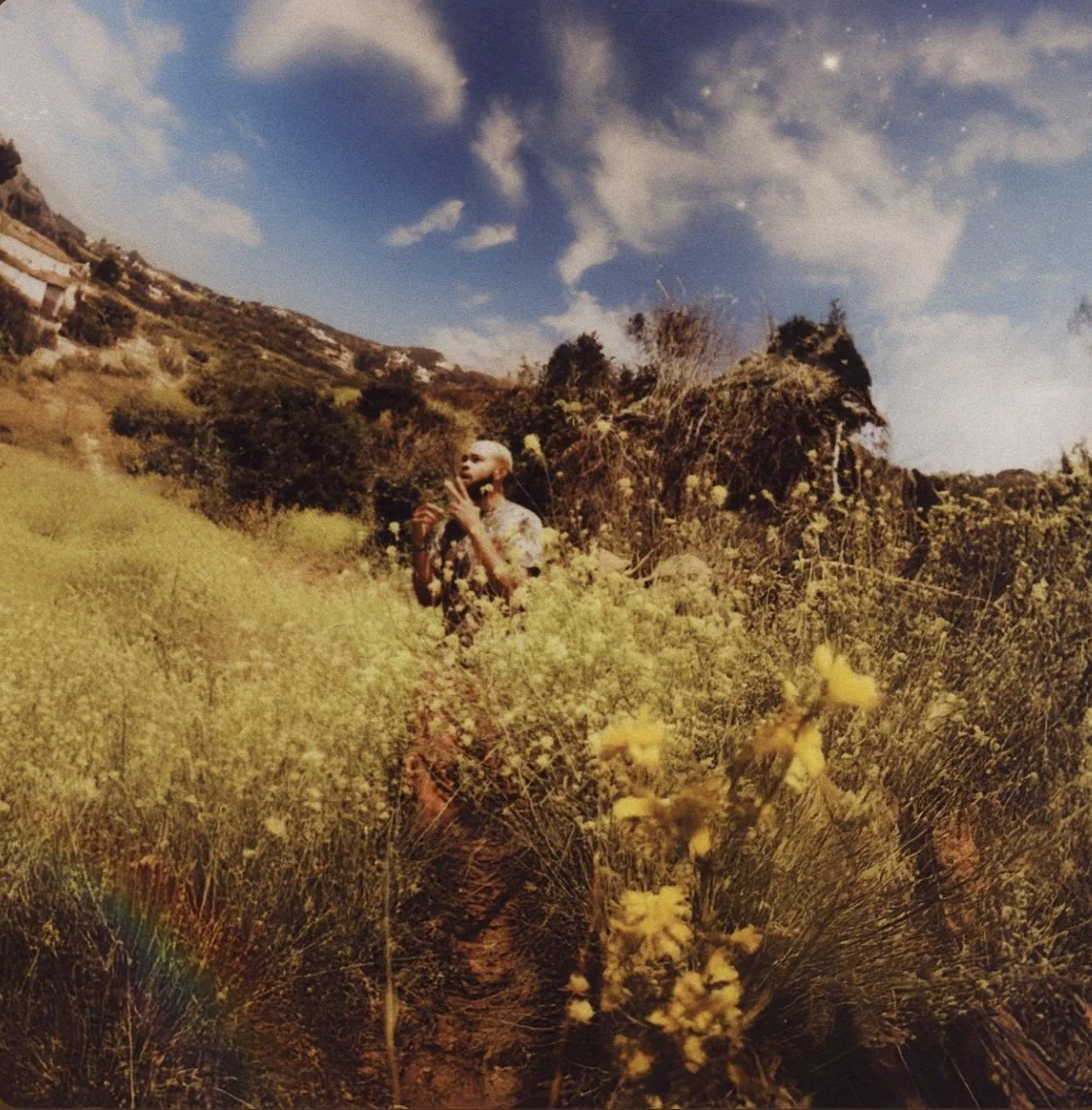 Ashoka - Wembanyama (YNS)