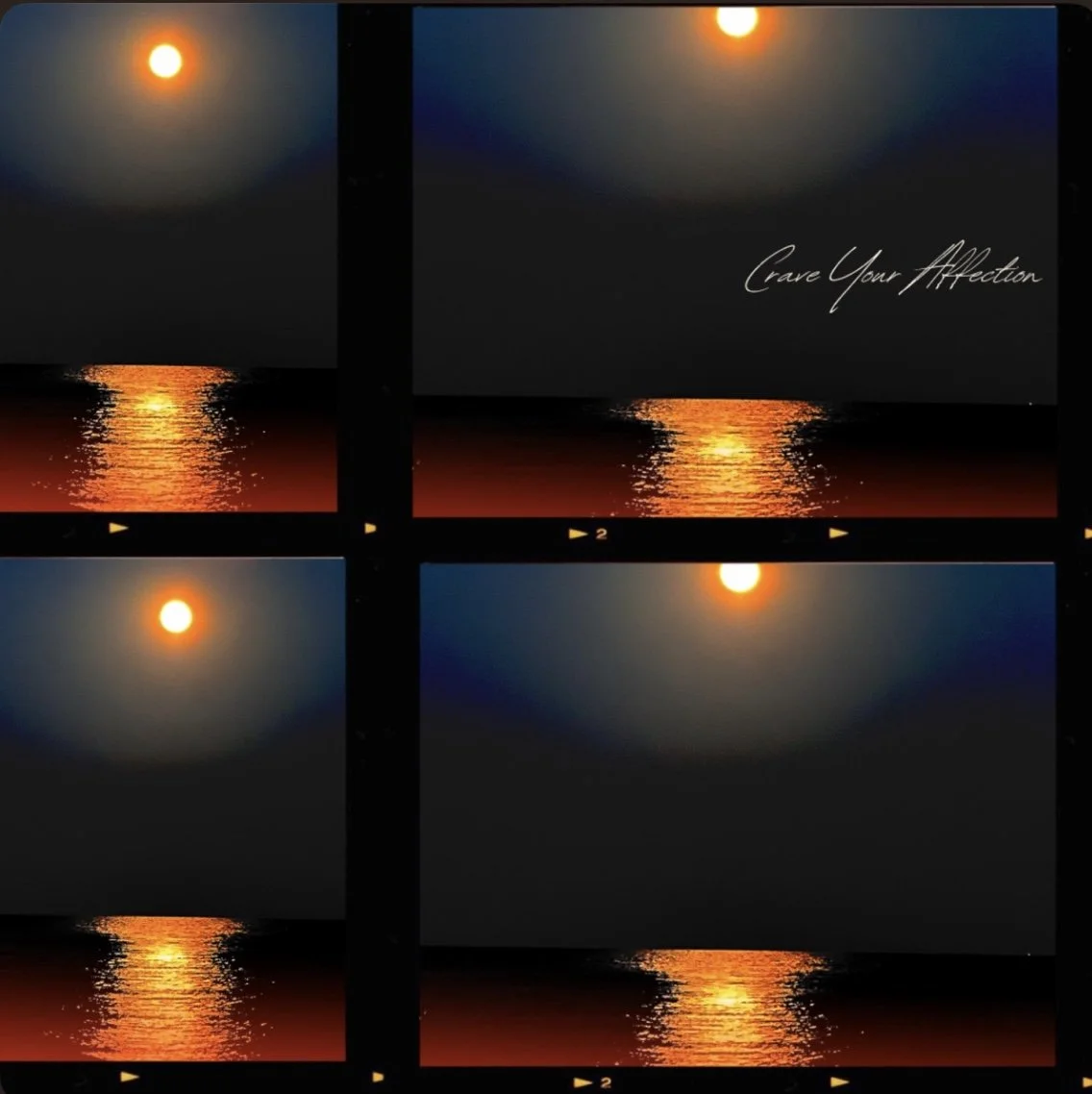 Tala Silva - Crave Your Affection (Single)