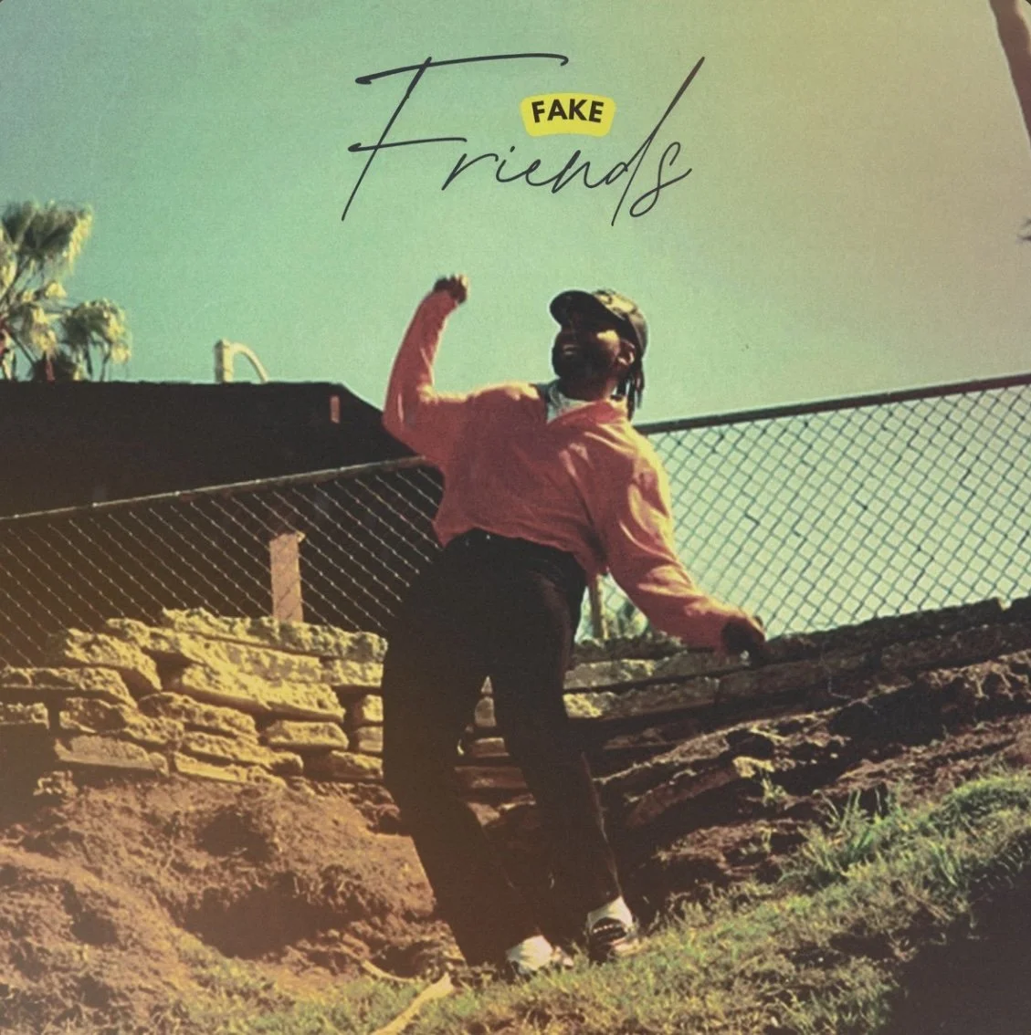 OK COOP - Fake Friends (Single)