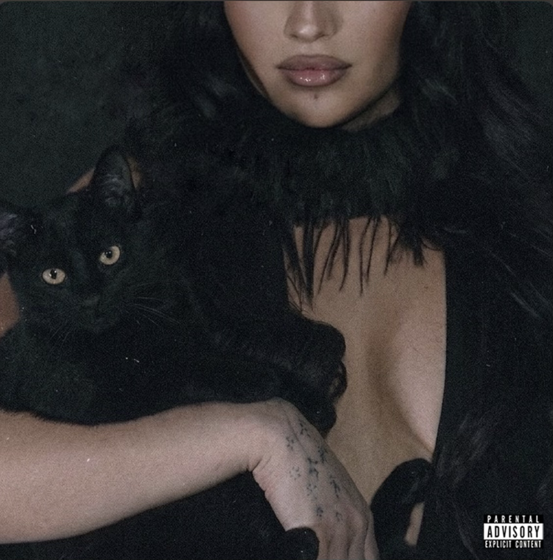 Ari Duarte - Fix It (Single) 