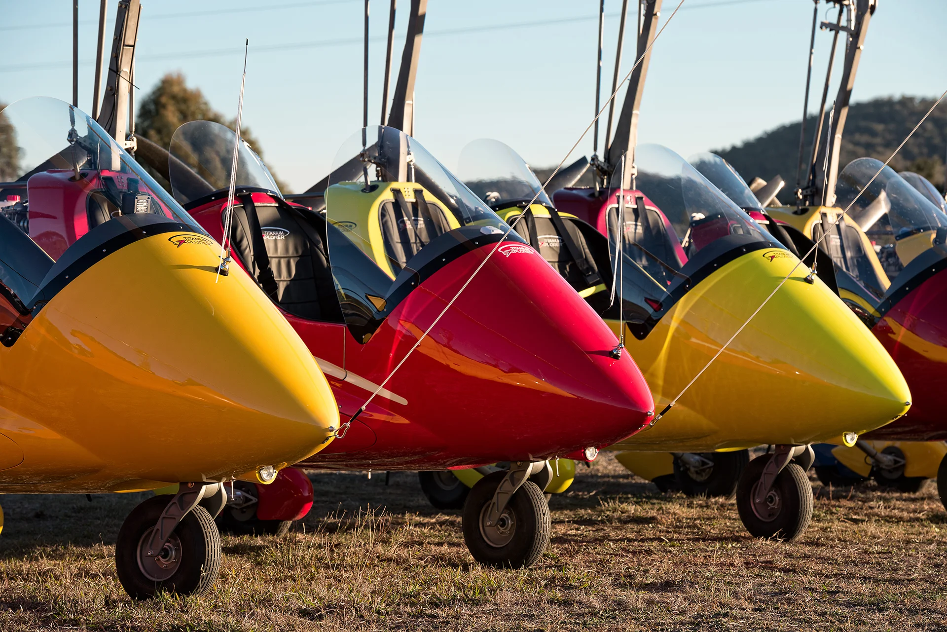 _DSC8980.jpg