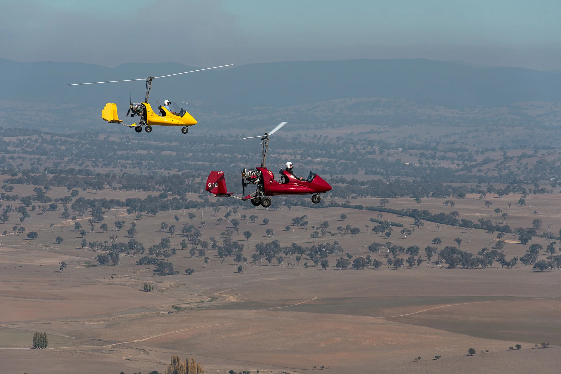 _DSC9110.jpg