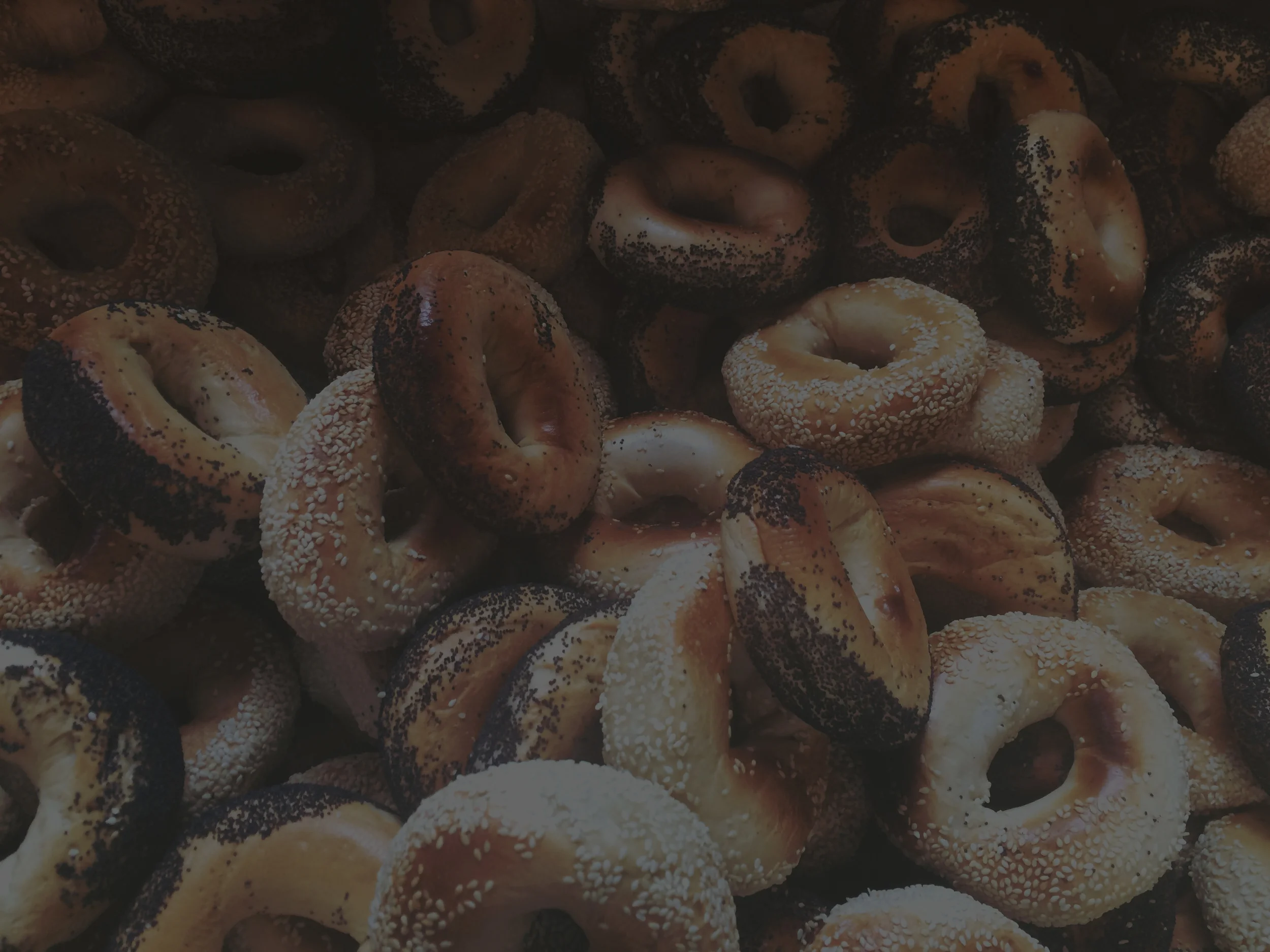 bagel1dark.jpg