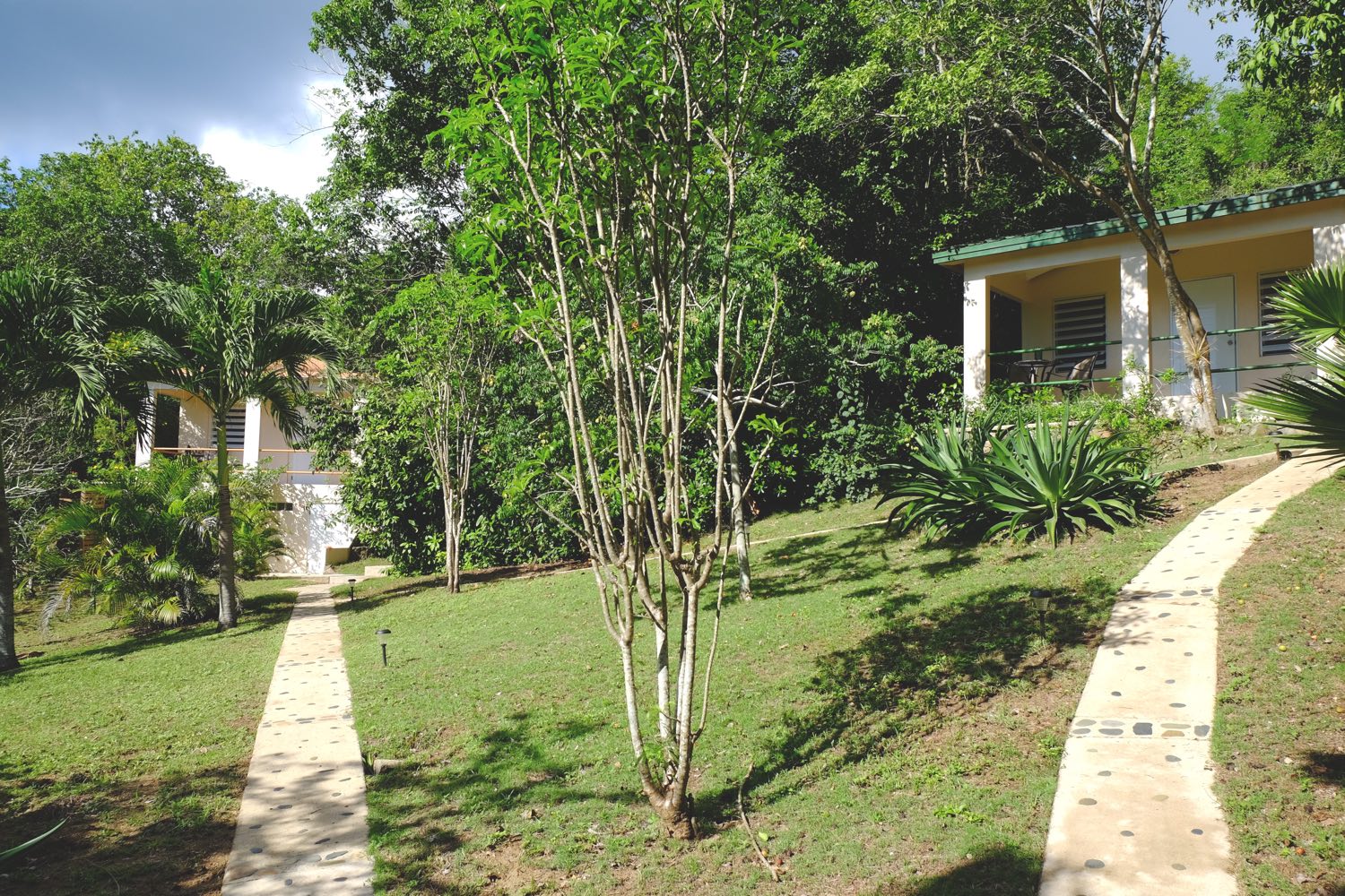 both casitas WO.jpg