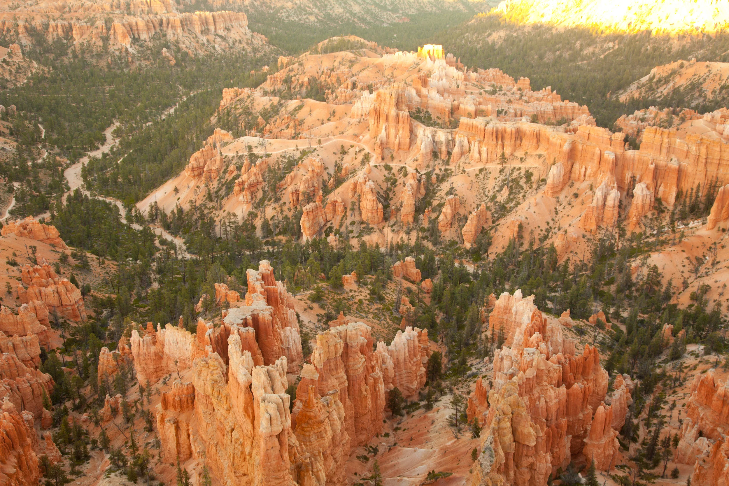 Bryce from the Edge