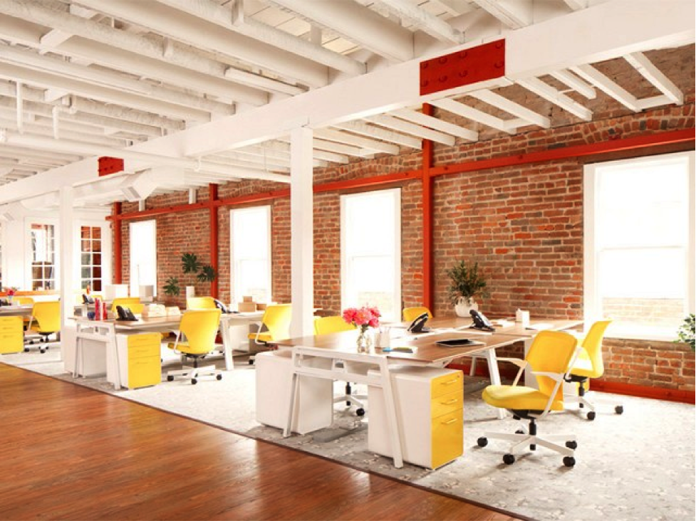 The Office Revamp | Bring Life to Your Public Office Space