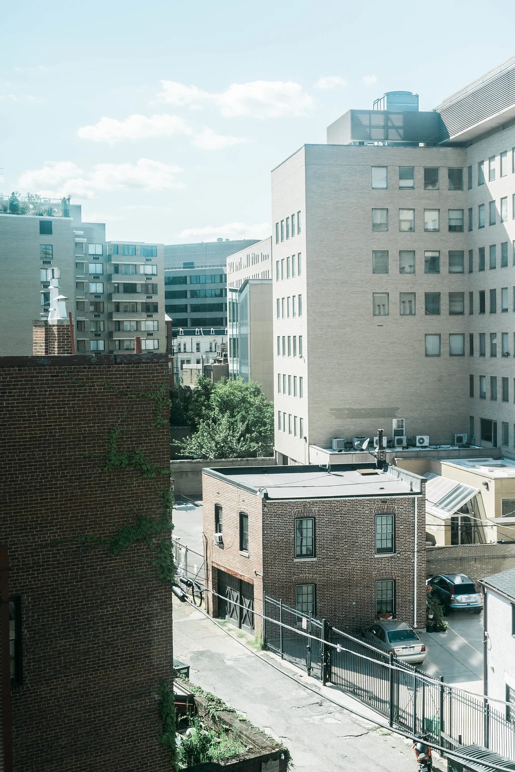 Fully Lived: Washington DC Recommendations