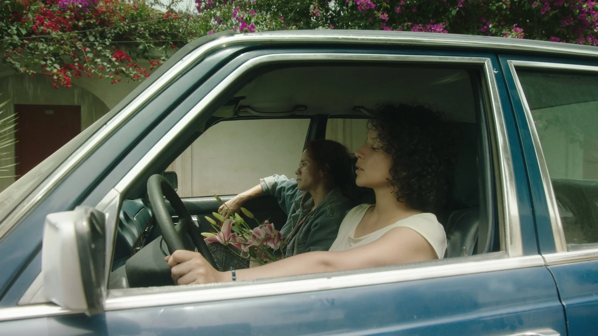 Still 284_1.133.1.jpg