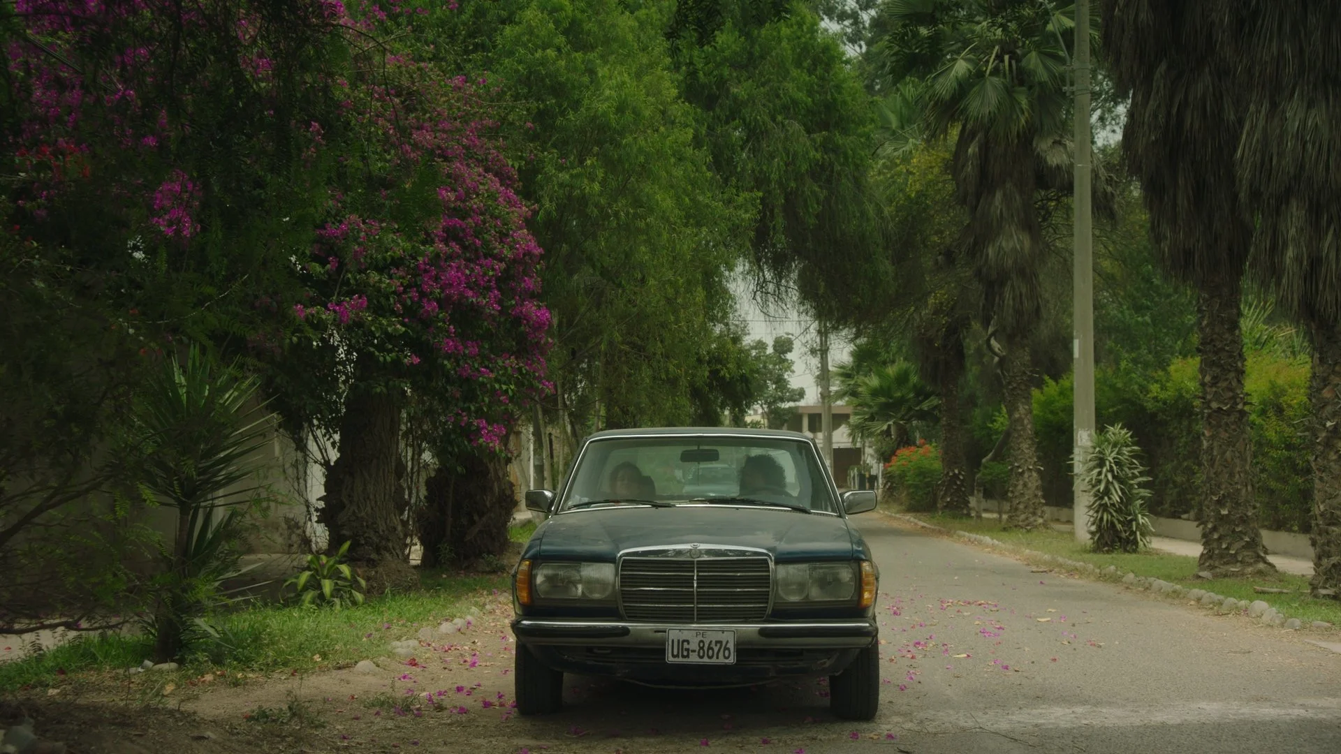 Still 287_1.135.1.jpg