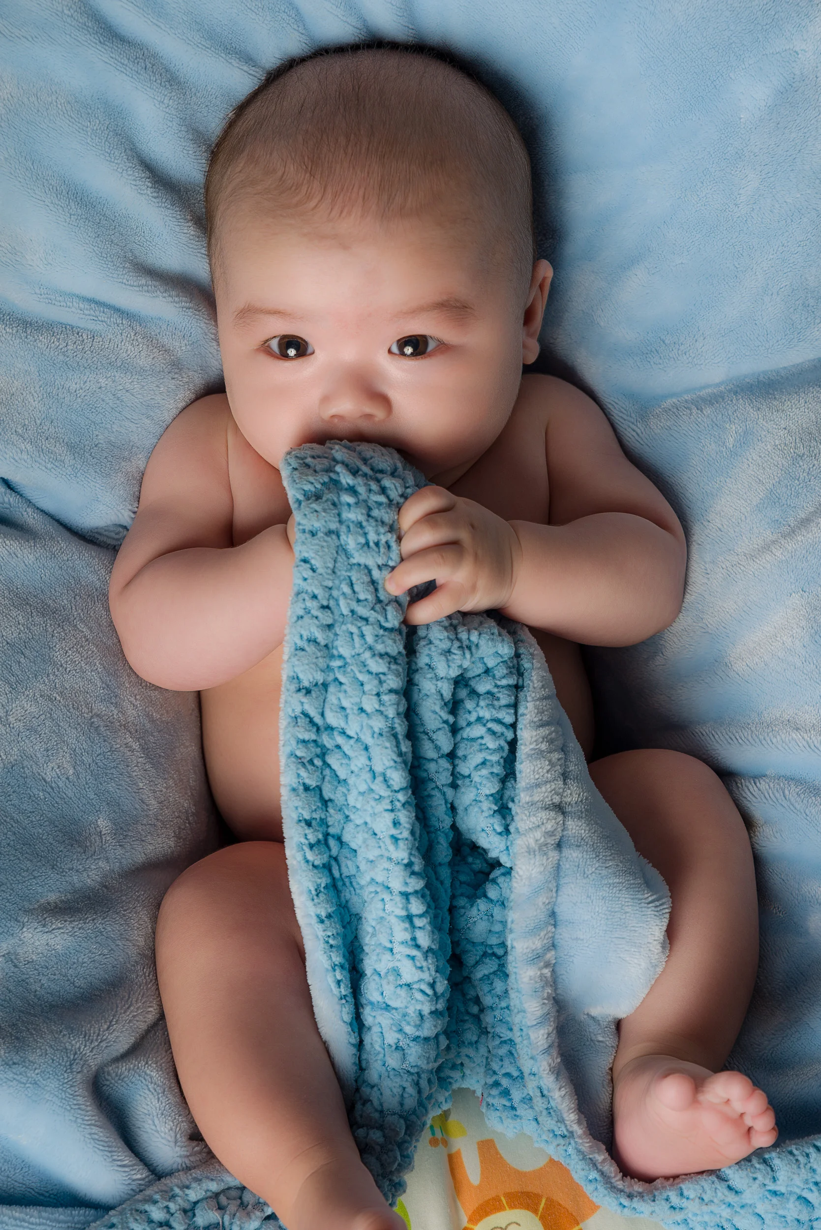 2018.03.03.Lucas.Zhang.3.Months.Old-13.jpg