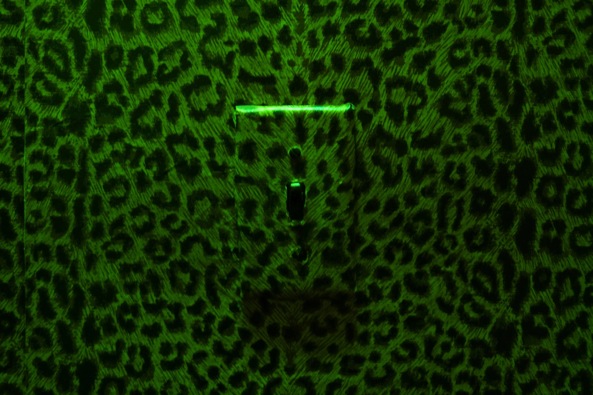 TORONTO CROWN ROYAL BTS