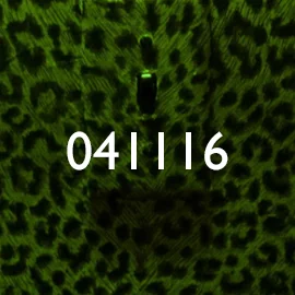 TORONTO CROWN ROYAL BTS