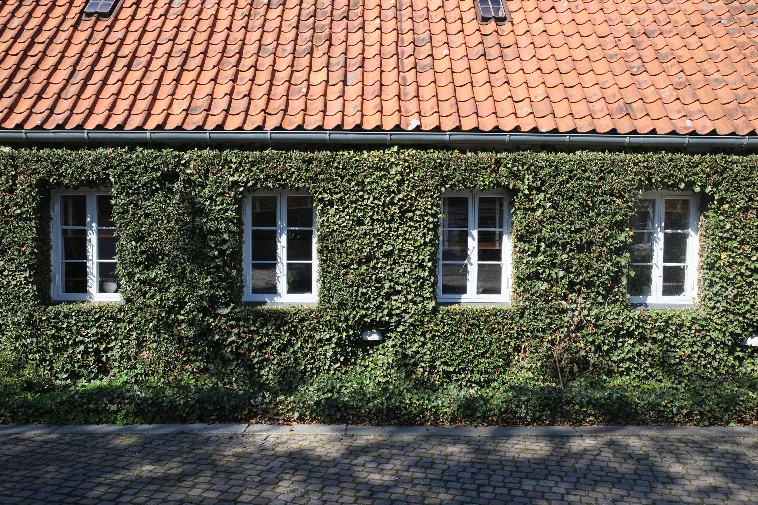DSCF2333.JPG