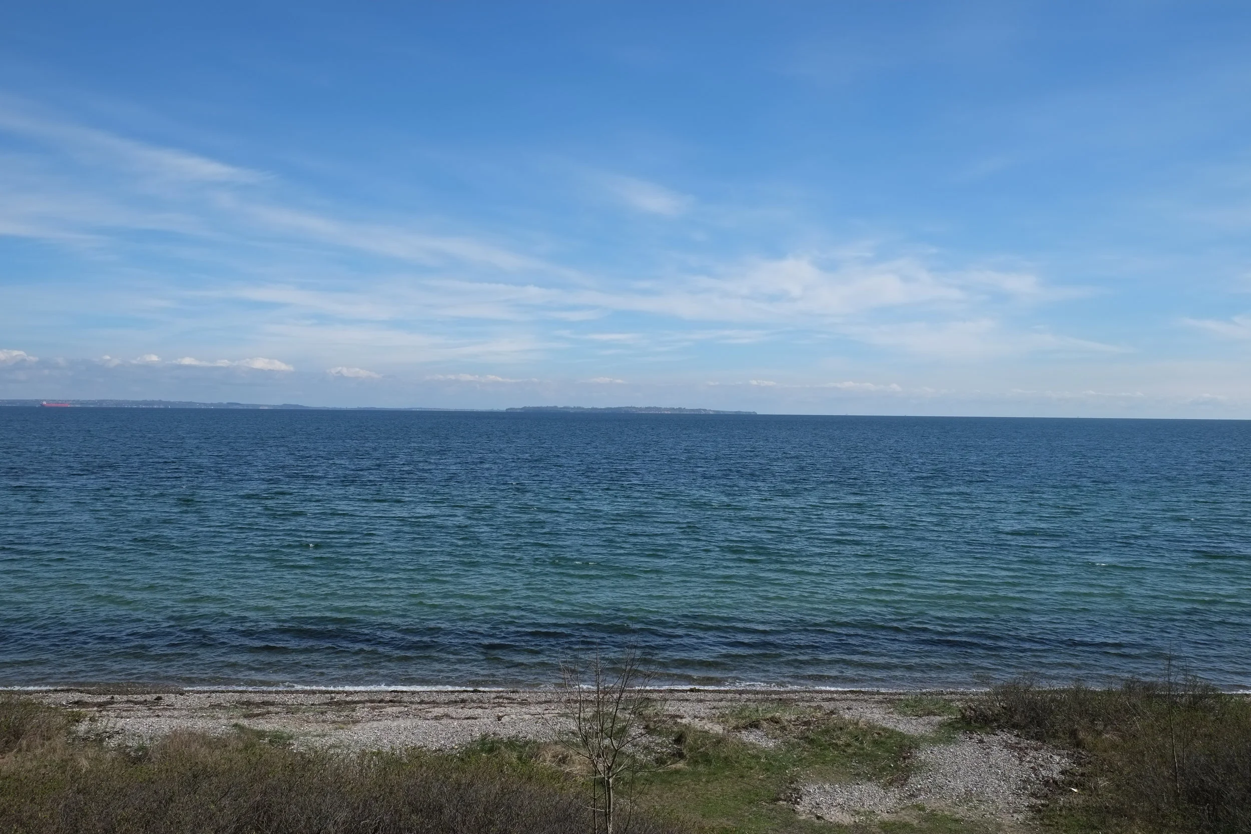 DSCF2353.JPG
