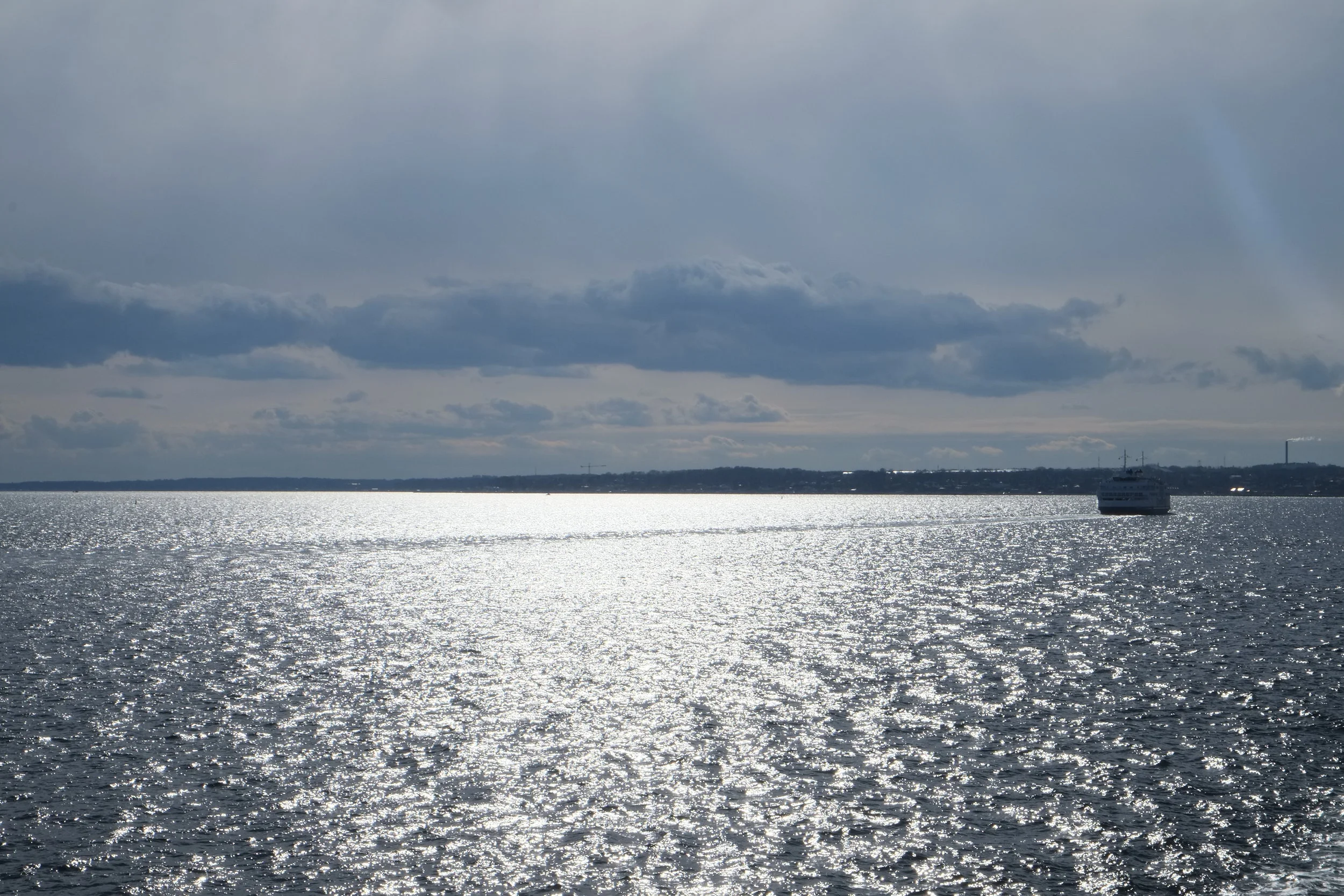 DSCF2368.JPG