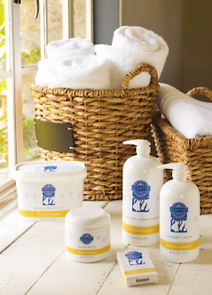 Packaging design - Laundry line of packaging Special icon developed for each line to easily identify from others.
