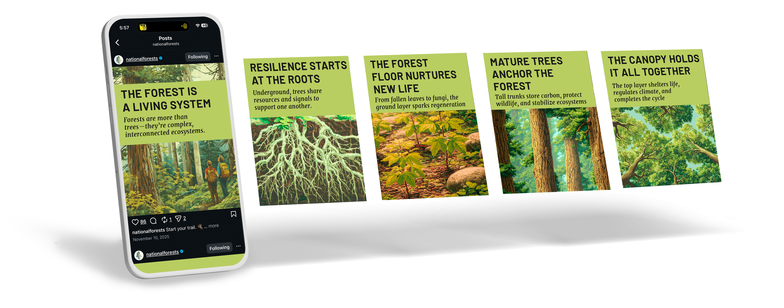 Paid Social Media for National Forest Foundation