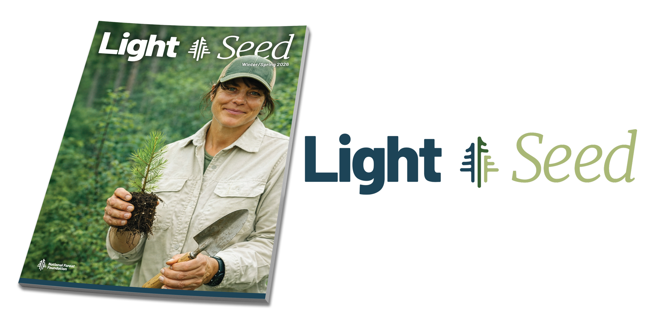 Bi Annual Magazine publication