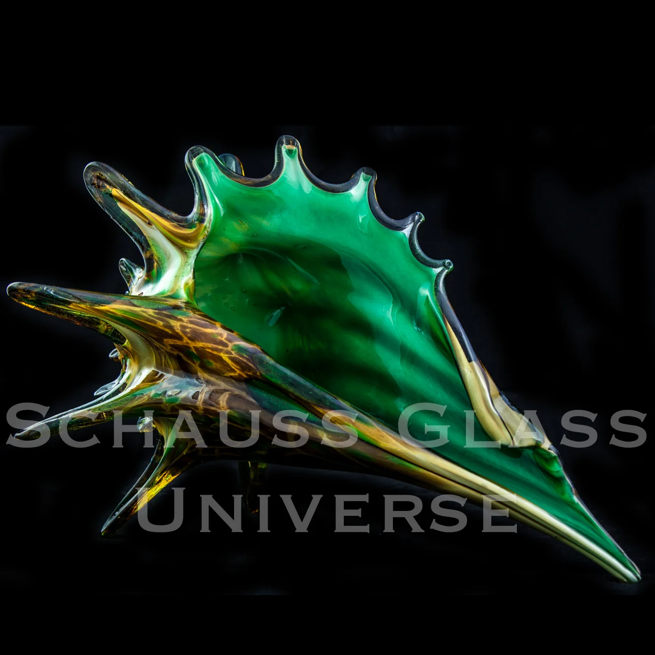 ©2015SchaussGlassblowingLLC SeashellTurtleColl.1.jpg