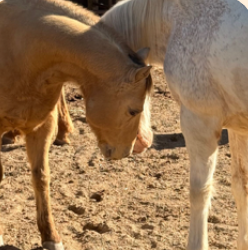 Screenshot 2026-02-28 205124.png