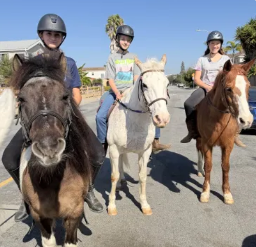 Screenshot 2026-02-28 204620.png