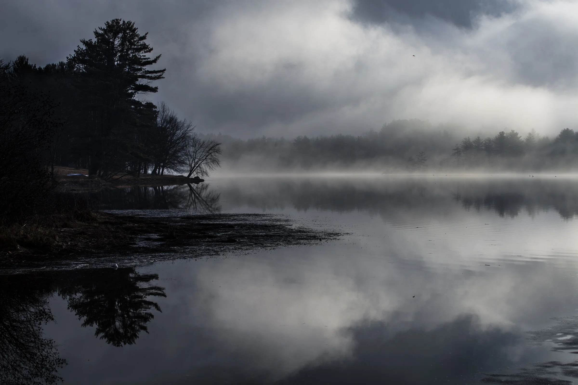 Powder Mill Pond
