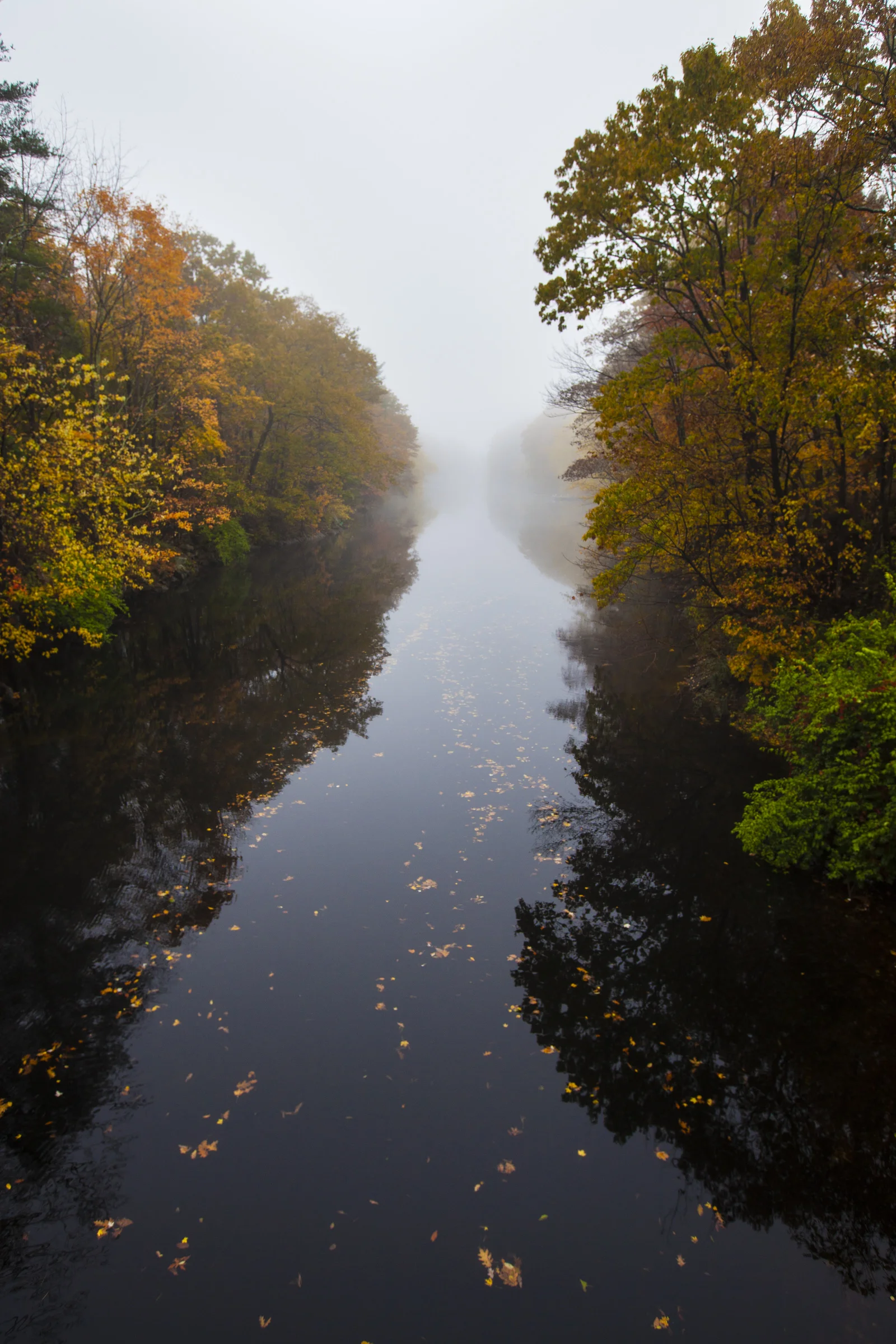Lamprey River