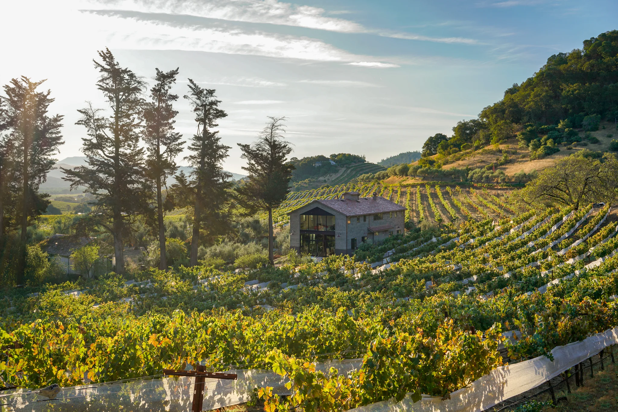 Blue Rock Tasting Room II - 2048px-.jpg