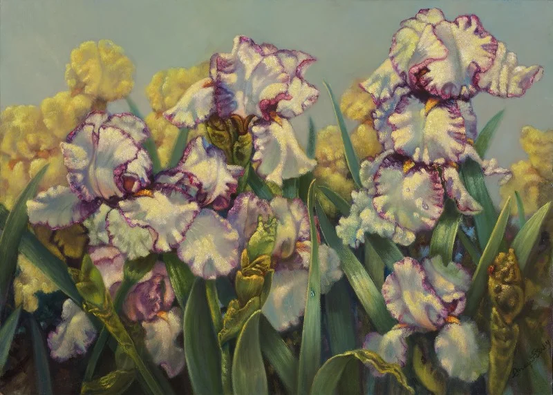 Iris-Hemstiched.jpg