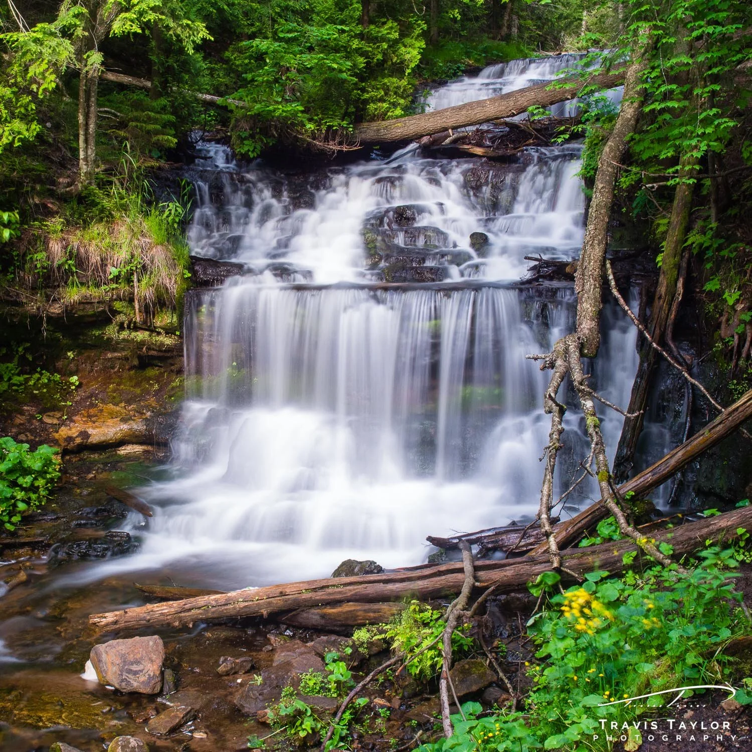 travis-taylor-photography-1500px-17.jpg