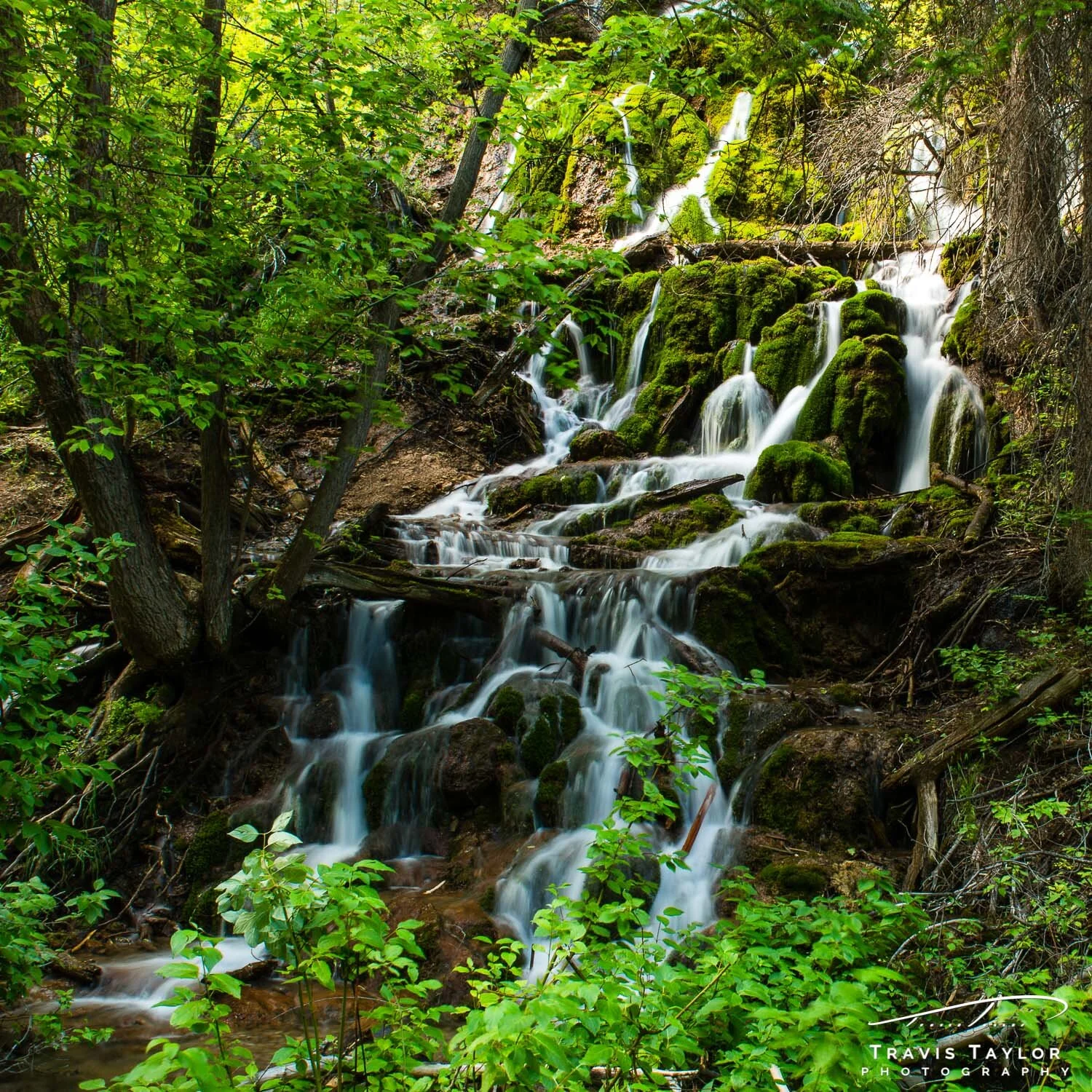 travis-taylor-photography-1500px-20.jpg