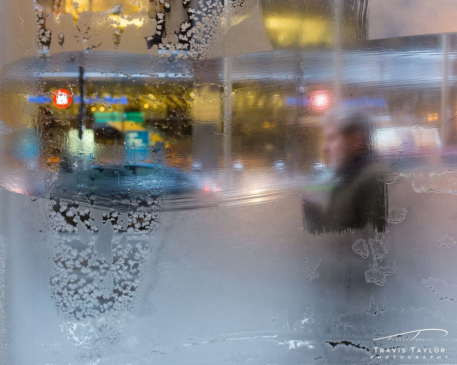 travis-taylor-photography-1500px-25.jpg