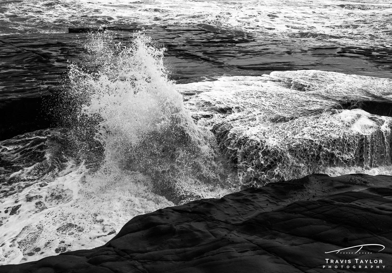 travis-taylor-photography-1500px-34.jpg